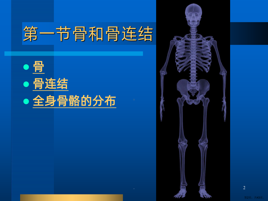 人体的运动系统PPT课件(PPT 43页).pptx_第2页