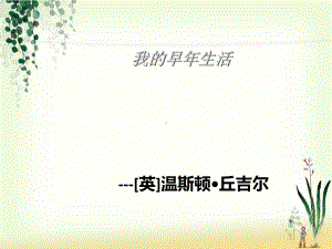 《我的早年生活》ppt课件全面版.ppt