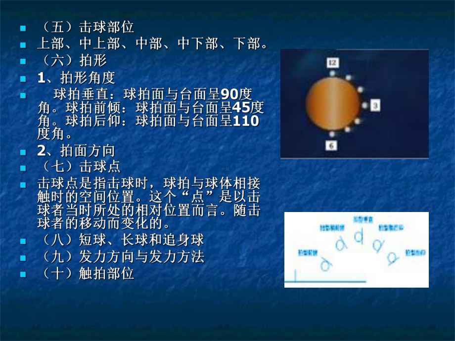 乒乓球运动的理论基础演示文稿-PPT课件.ppt_第3页