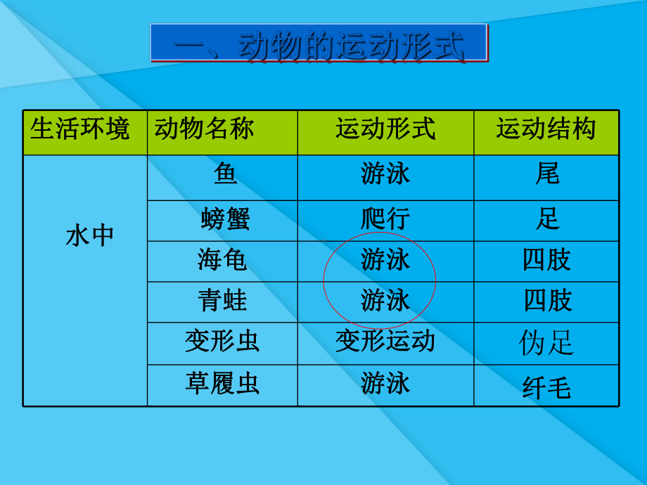 动物的运动形式和能量供应PPT课件1-苏教版优秀课件.ppt_第3页