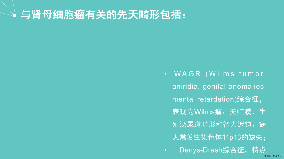 儿童三大母细胞瘤的病例分析课件(PPT 22页).pptx_第3页