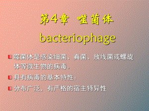 （课件）噬菌体遗传与变异.ppt