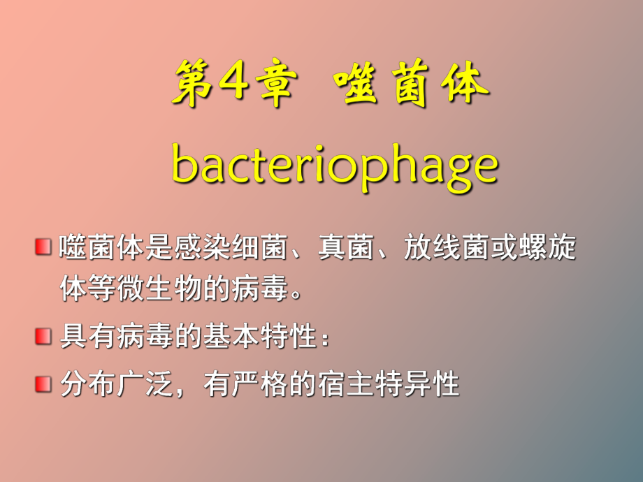 （课件）噬菌体遗传与变异.ppt_第1页