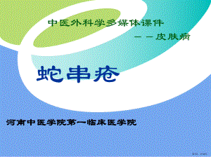 带状疱疹详解课件(PPT 14页).pptx