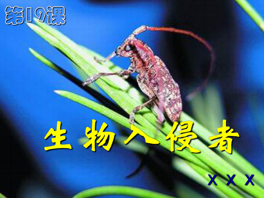 《生物入侵者2》PPT课件.ppt_第1页