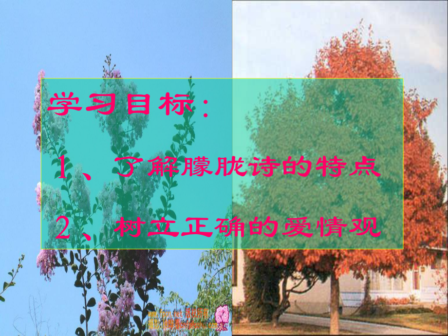 《致橡树》ppt课件(4)全面版.ppt_第2页