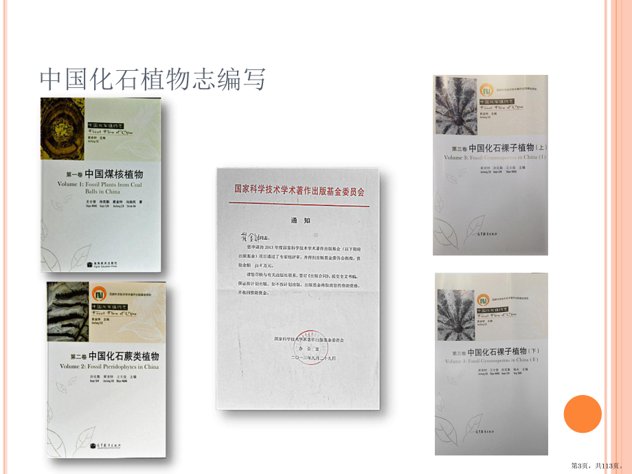 如何撰写中英文摘要(研究生院)(第二次课程)课件(PPT 113页).pptx_第3页