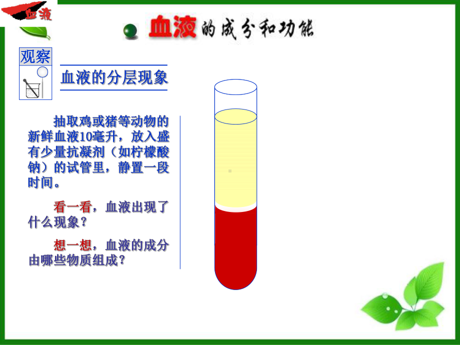 人教版流动的组织-血液PPT优秀课件1.ppt_第3页