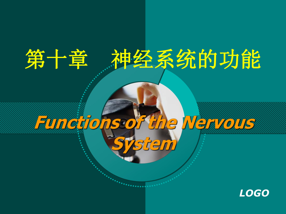 （生理学课件）第10章神经系统的功能.ppt_第1页