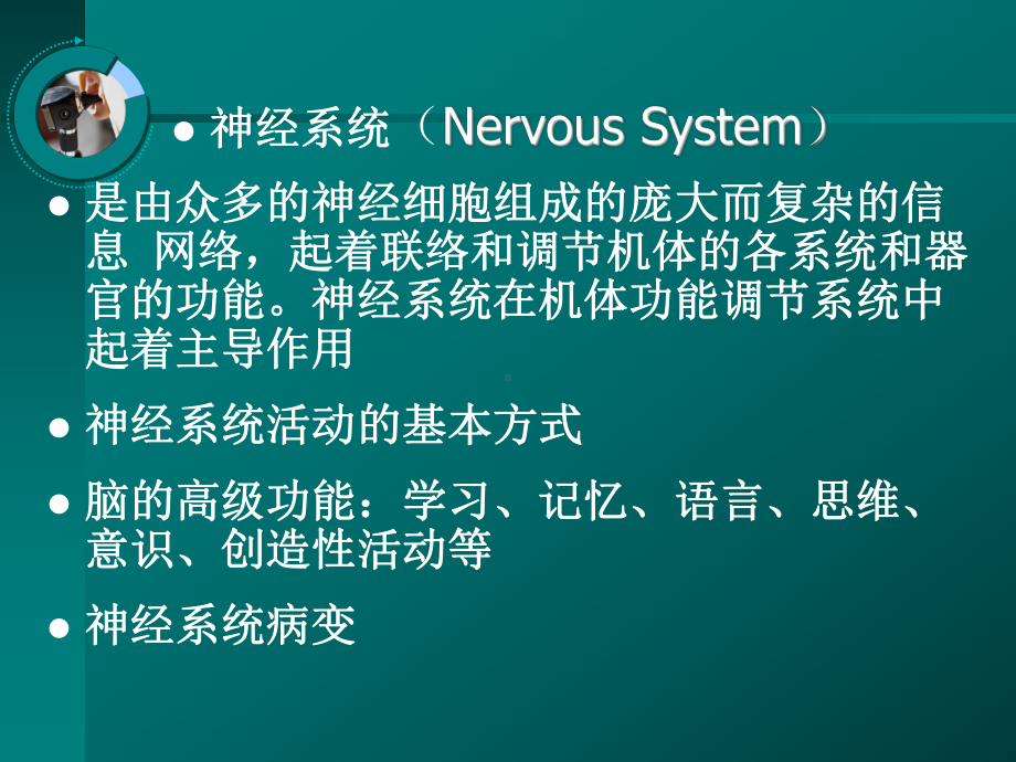 （生理学课件）第10章神经系统的功能.ppt_第3页