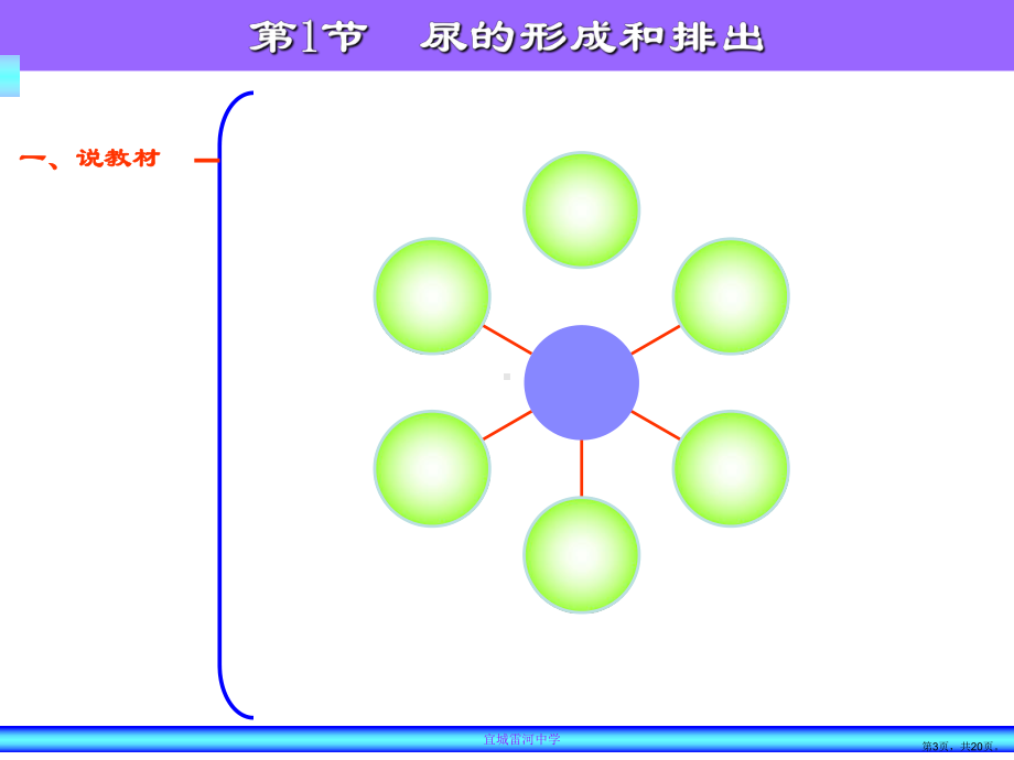 尿的形成和排出说课课件(PPT 20页).pptx_第3页