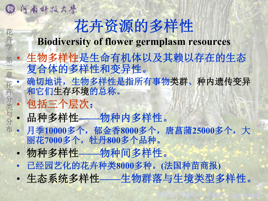 《花卉分类与分布》PPT课件.ppt_第2页