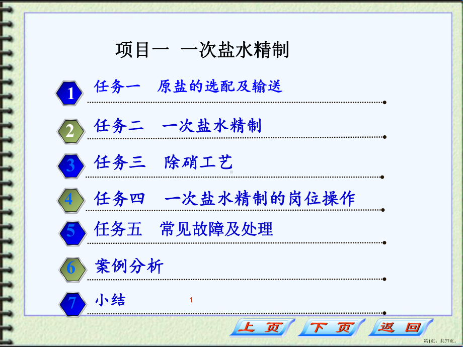 氯碱生产与操作项目-一次盐水精制PPT演示课件(PPT 77页).pptx_第1页