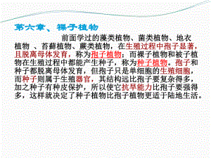 《裸子植物的主要特征》ppt实用课件.ppt