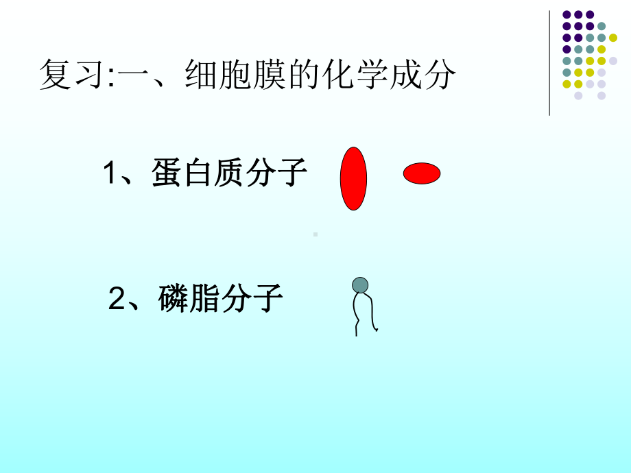 （5A版）物质跨膜运输的方式公开课课件.ppt_第1页