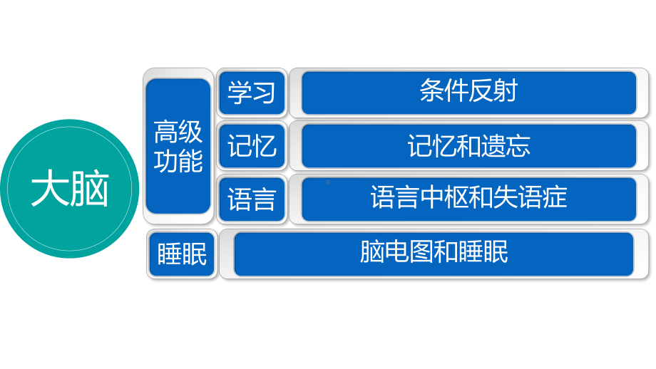 《解剖生理》课件-脑的高级功能.pptx_第2页