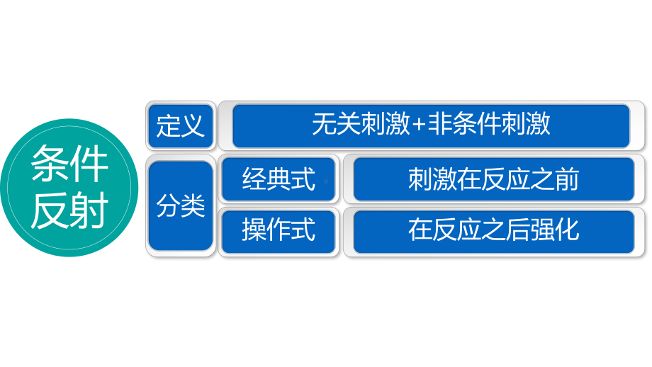 《解剖生理》课件-脑的高级功能.pptx_第3页