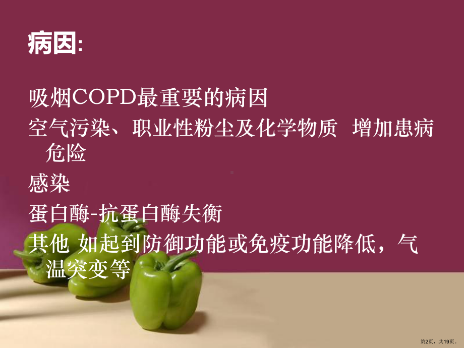 医学课件慢性阻塞性肺疾病护理查房(PPT 19页).pptx_第2页