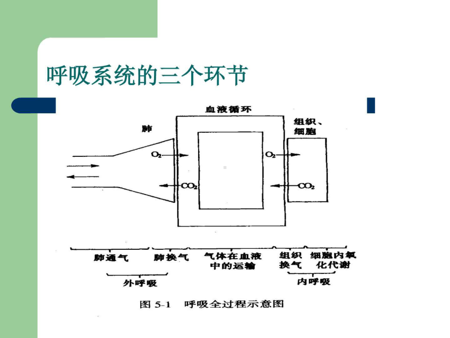 《氧气吸入法》ppt课件PPT精品文档66页.ppt_第2页