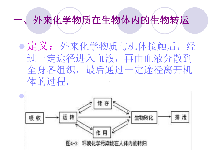 化学物质与人体健康-PPT课件.ppt_第3页