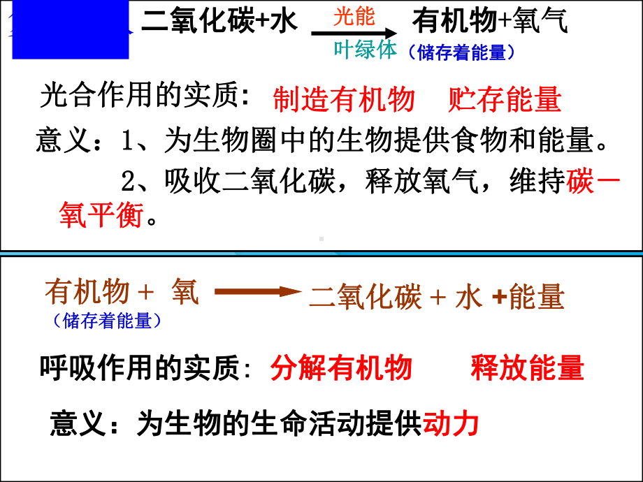 光合作用、呼吸作用、蒸腾作用专题复习ppt-人教版优秀课件.ppt_第2页