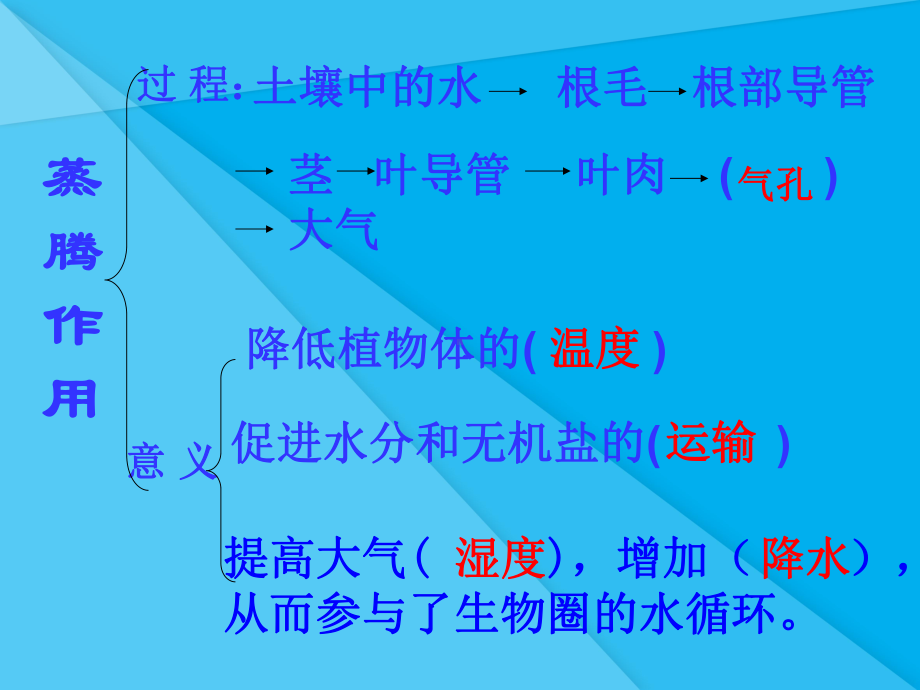 光合作用、呼吸作用、蒸腾作用专题复习ppt-人教版优秀课件.ppt_第3页