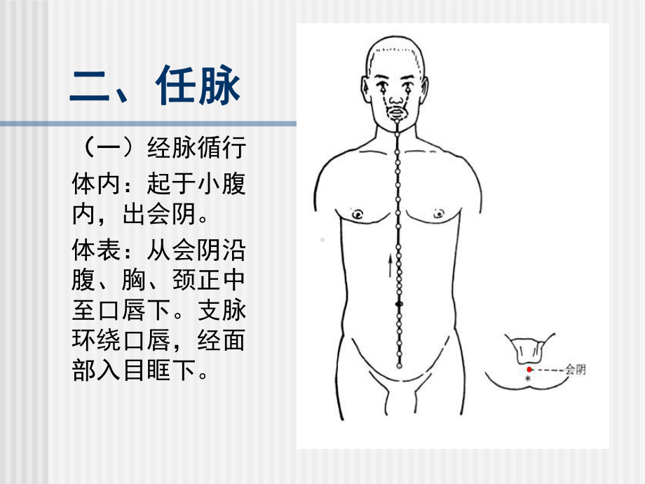 《针灸学》课件任脉.ppt_第1页