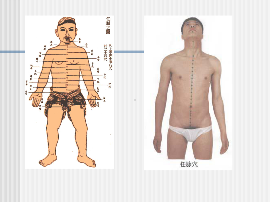 《针灸学》课件任脉.ppt_第3页