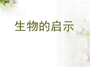 《生物的启示》PPT课件.pptx