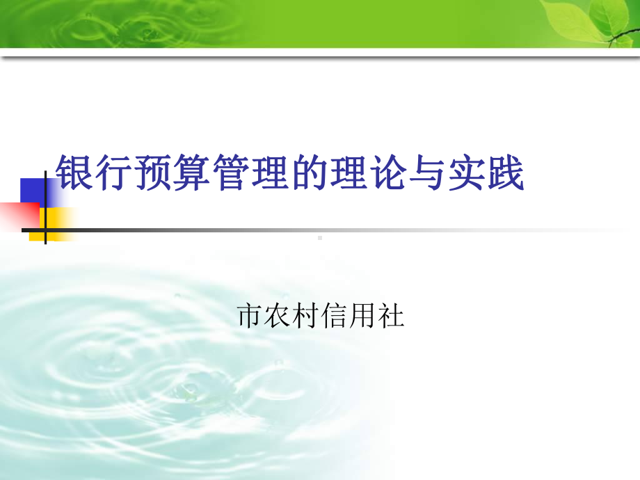 信用社银行课件：银行预算管理的理论与实践.ppt_第1页