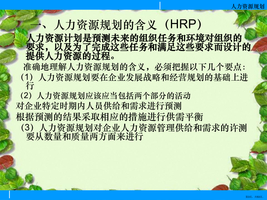 人力资源规划详细概述课件(PPT 53页).ppt_第3页