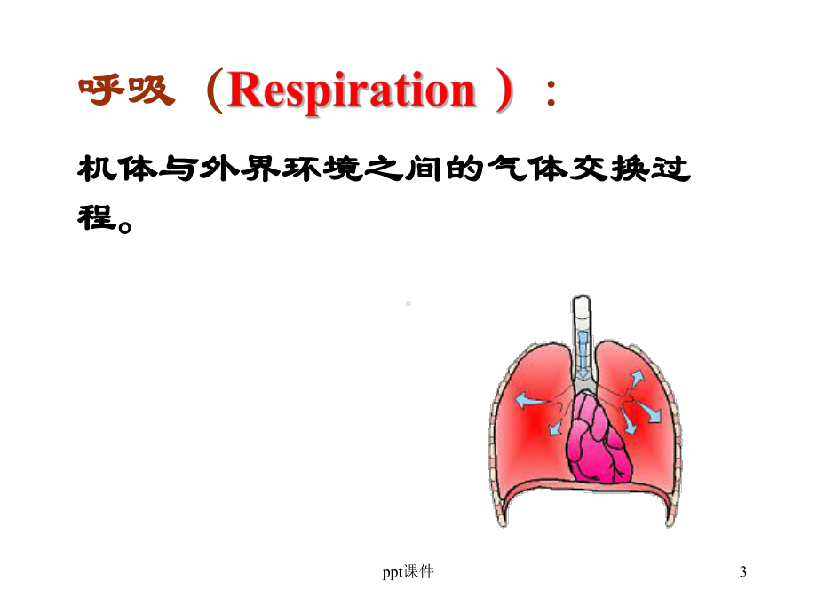 动物生理学-呼吸-ppt课件.ppt_第3页