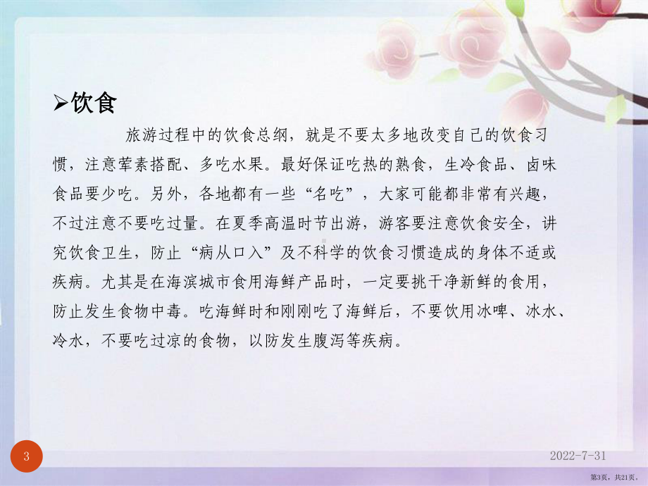 外出旅游注意事项课件(PPT 21页).pptx_第3页