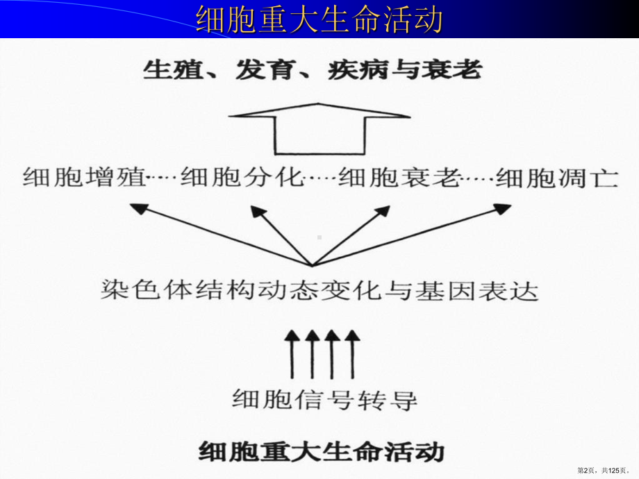 人体组织学与解剖学课件(PPT 125页).pptx_第2页