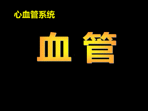 人体系统解剖学局部解剖学PPT课件-心血管系统-血管体循环.ppt