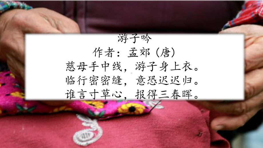 《慈母情深》名师课件.pptx_第1页