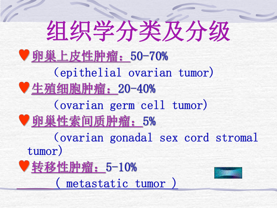 （课件超声）卵巢肿瘤.ppt_第3页