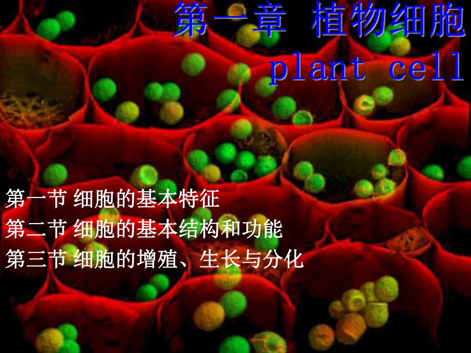 《植物学》课件：第一章-植物细胞.ppt_第1页