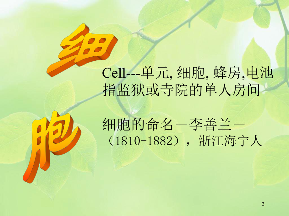 《植物学》课件：第一章-植物细胞.ppt_第2页