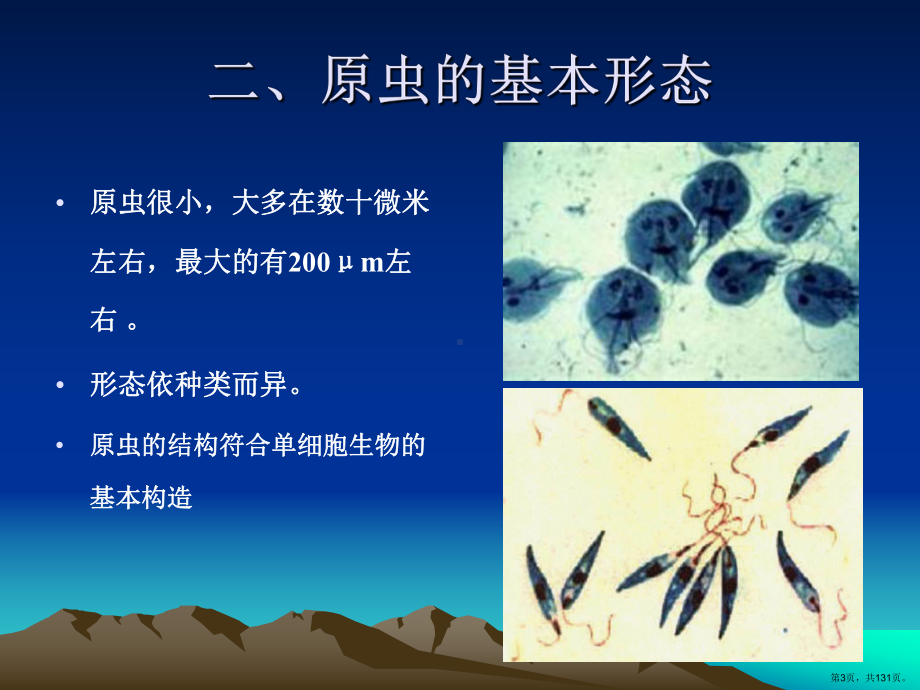 人体寄生虫之原虫课件(PPT 131页).pptx_第3页