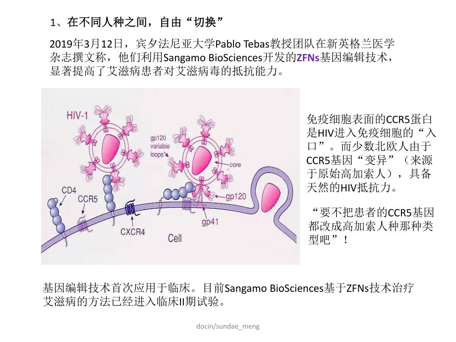 （大学课件）基因编辑技术-PPT精选.pptx_第3页