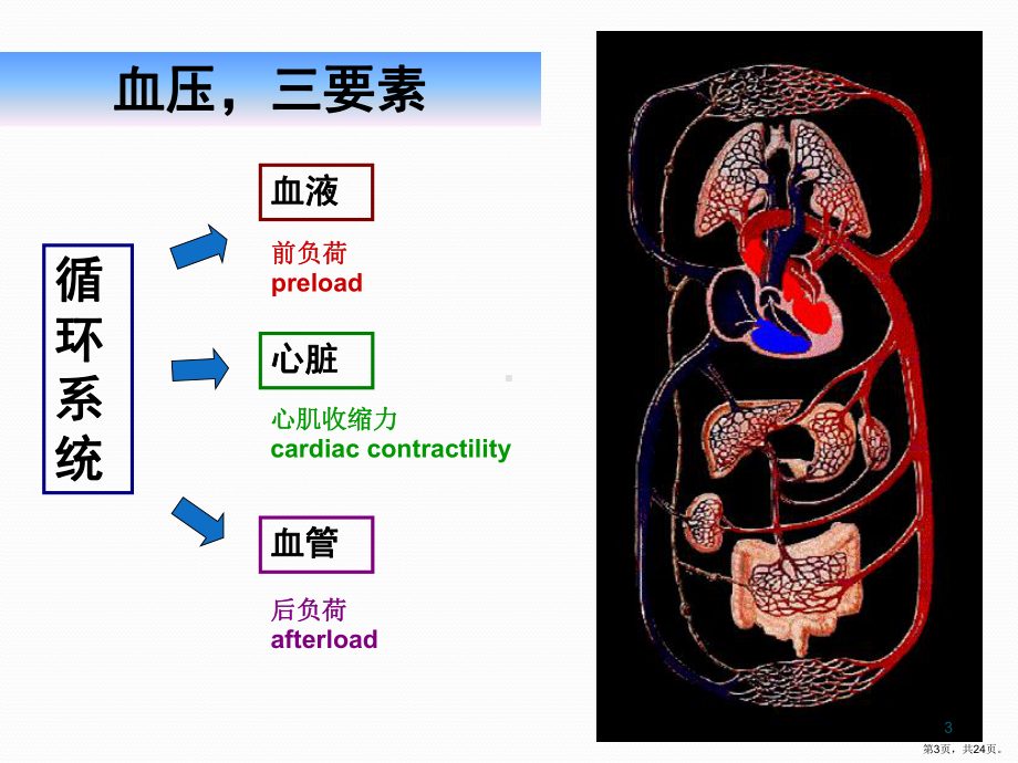 休克ICU诊断思路PPT参考幻灯片课件(PPT 24页).pptx_第3页