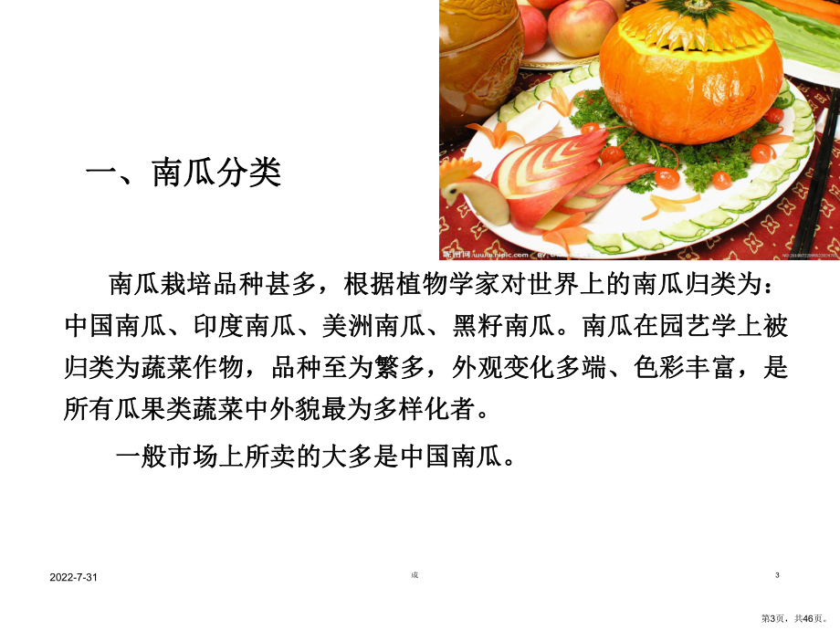 南瓜种植PPT演示课件(PPT 46页).pptx_第3页