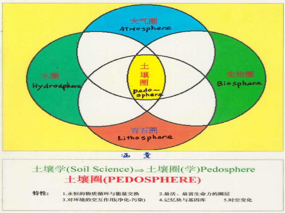 （课件）环境化学第四章土壤环境化学.ppt_第2页