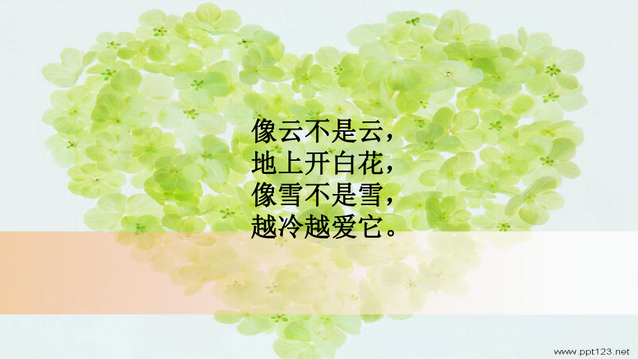 《棉花姑娘》-完整版PPT课件.ppt_第1页