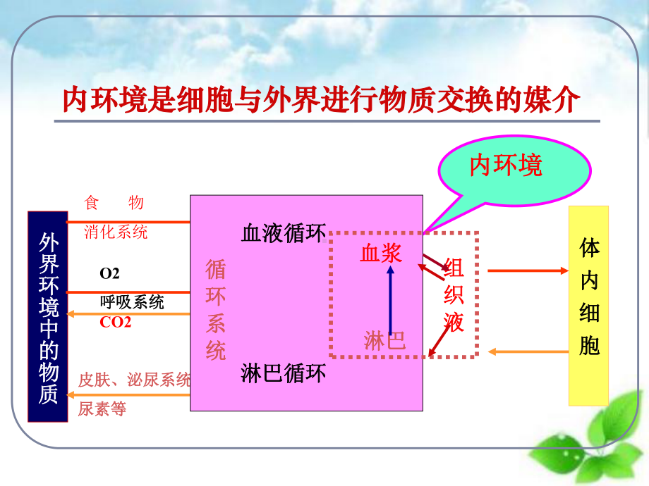 内环境稳态的重要性ppt课件(自制)17.ppt_第3页