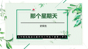 《那个星期天》创优公开课一等奖课件.pptx