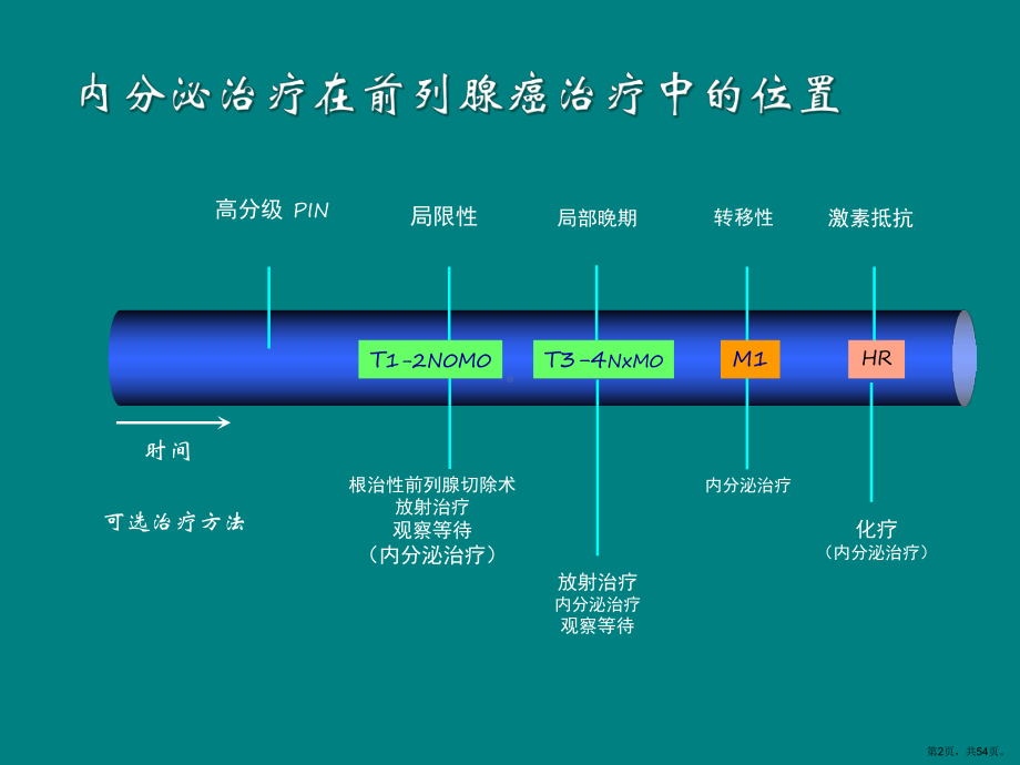 晚期前列腺癌的治疗原则-课内删减版课件(PPT 54页).pptx_第2页