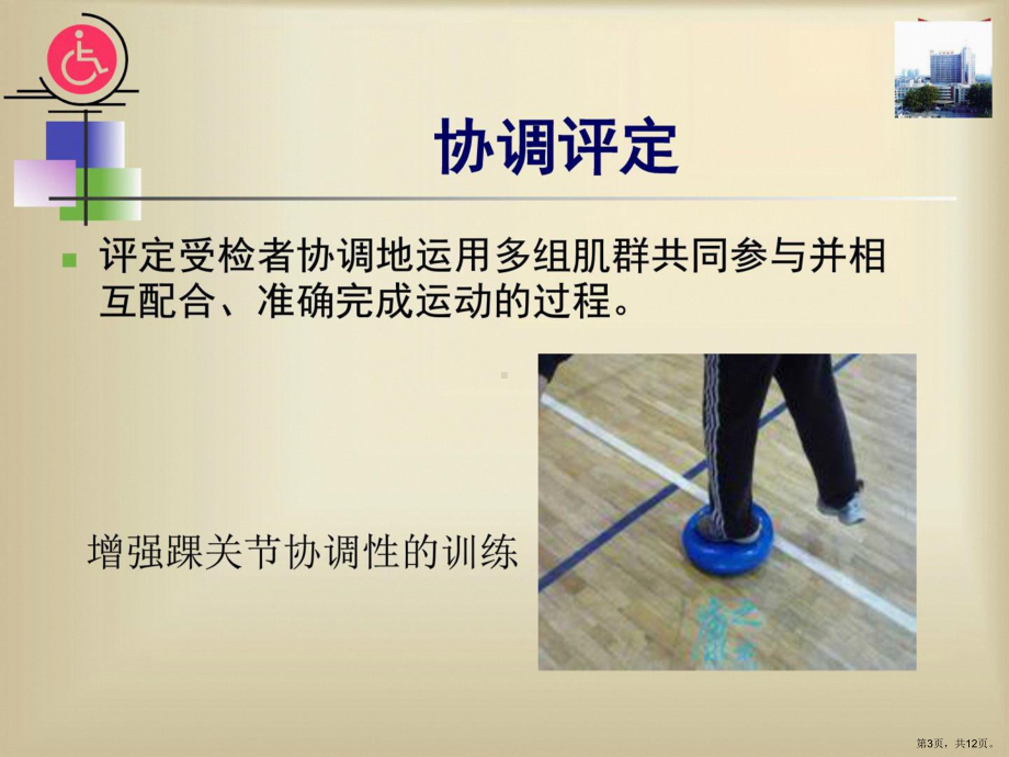 康复治疗师培训课程课件(PPT 12页).pptx_第3页