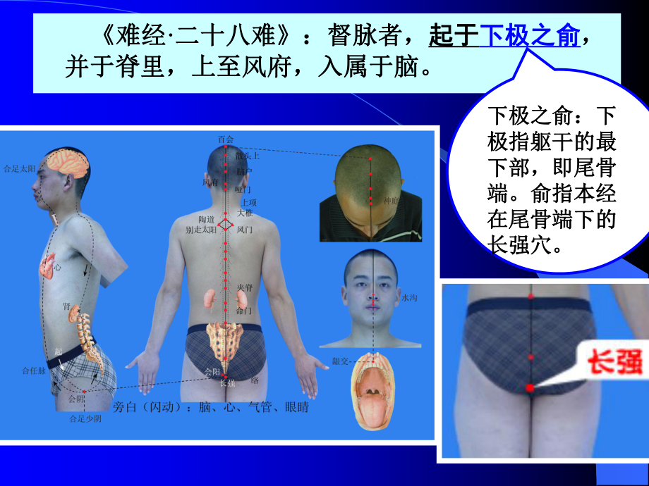 《针灸学》课件督脉.ppt_第3页